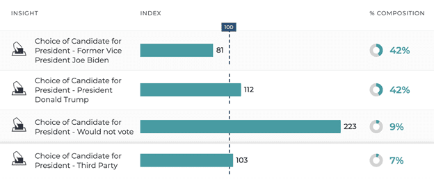 65+ Swing Voters Insights