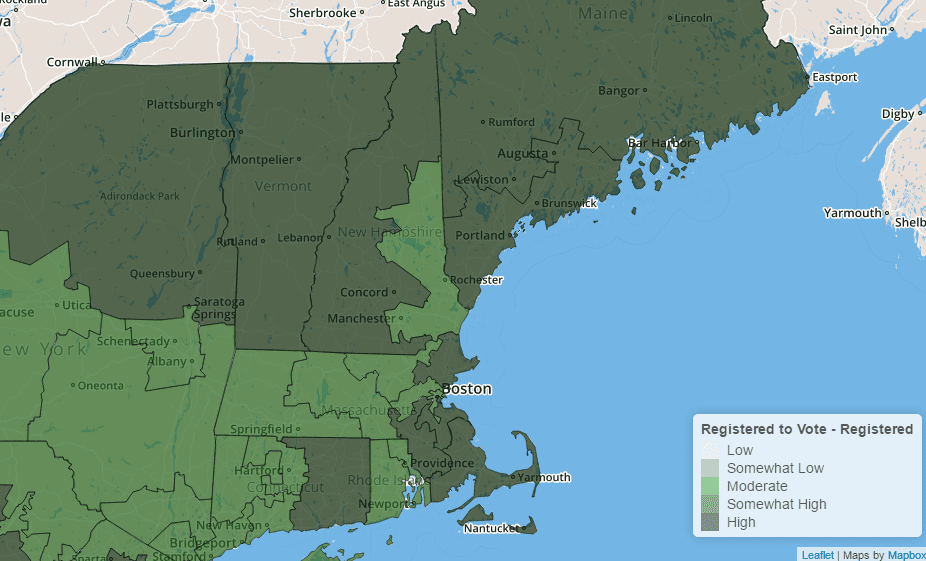 Swing State Alert: Key Insights on New Hampshire Voters