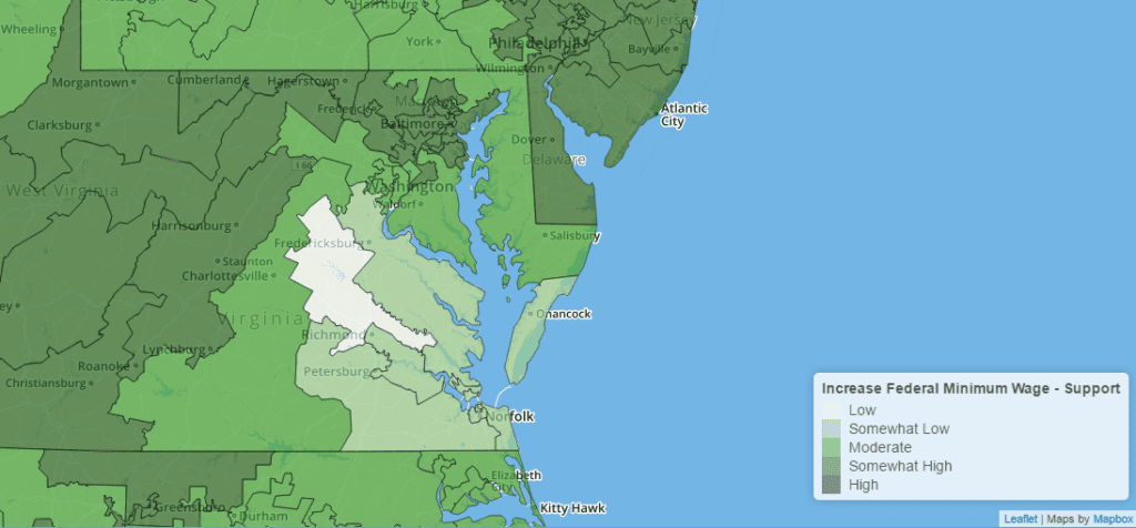 Swing State Alert: Key Insights on Virginia Voters